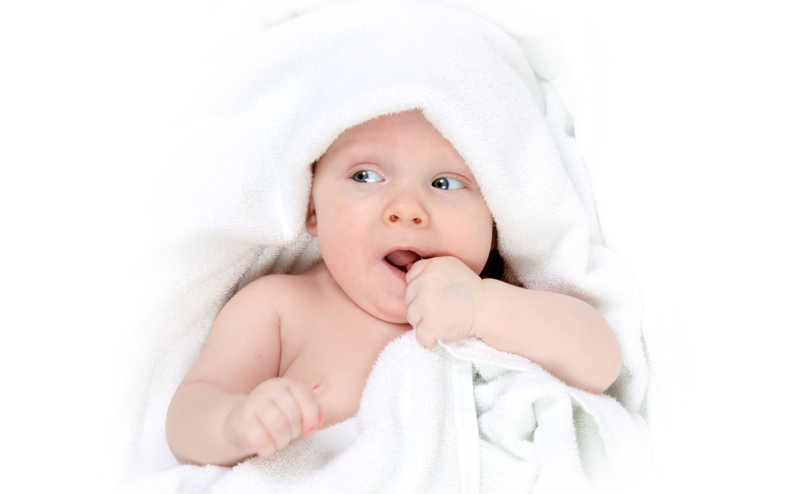 捐卵联系方式试管婴儿受精卵着床成功率
